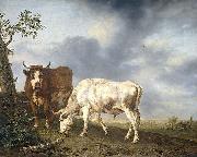 Oxen in the meadow
